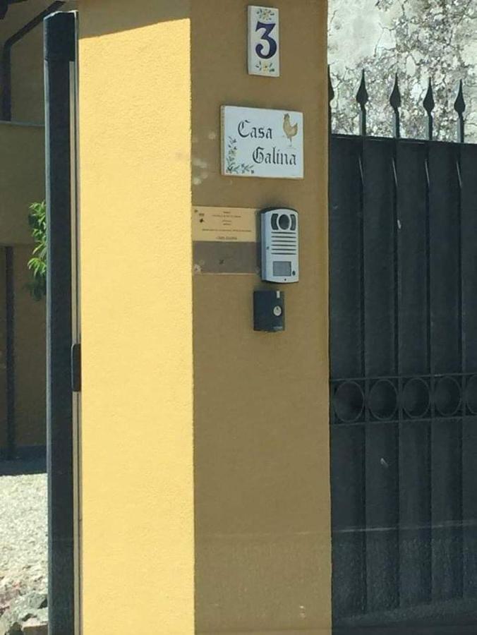 Vila Casa Galina Ciggiano Exteriér fotografie